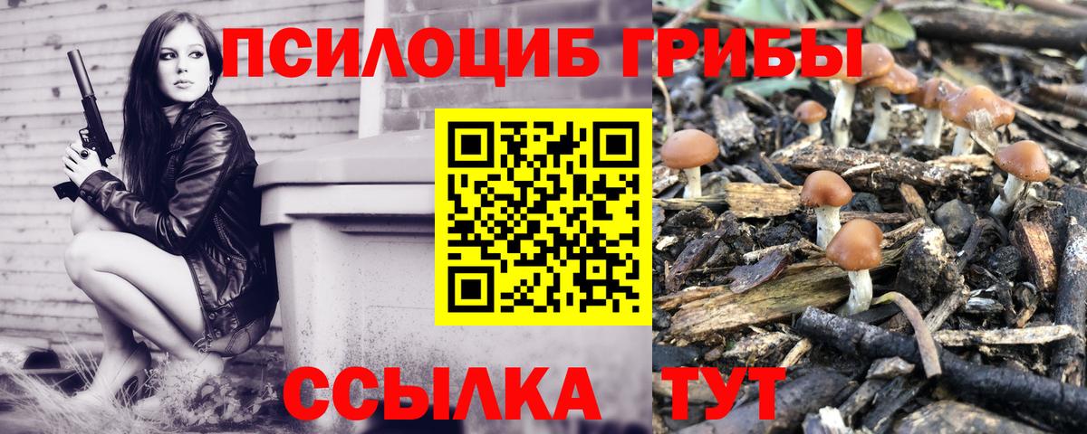 Псилоцибиновые грибы MAGIC MUSHROOMS  Вход с VPN  Елизово 
